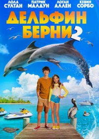 Дельфин Берни 2 (2019) WEB-DLRip 720p