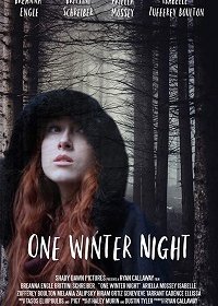 Однажды зимней ночью (2019) WEB-DLRip
